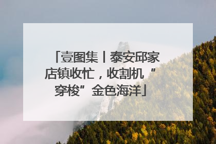 壹图集丨泰安邱家店镇收忙，收割机“穿梭”金色海洋